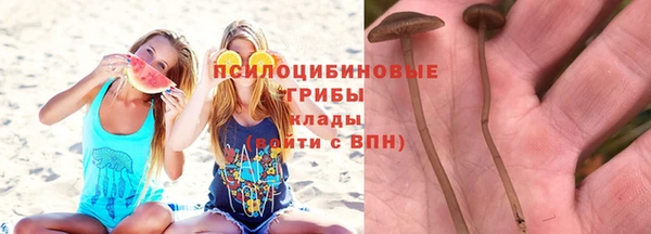 ALPHA PVP Алексеевка