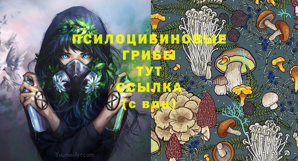 ALPHA PVP Алексеевка
