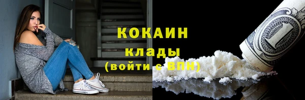 дживик Алзамай