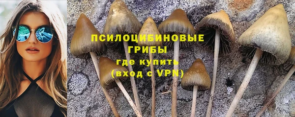 ALPHA PVP Алексеевка